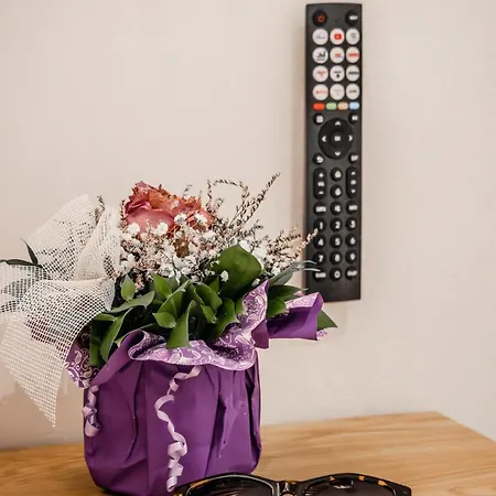 Urban Oasis アパート *