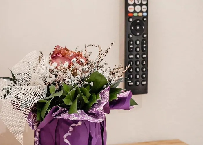 Urban Oasis Apartamento *