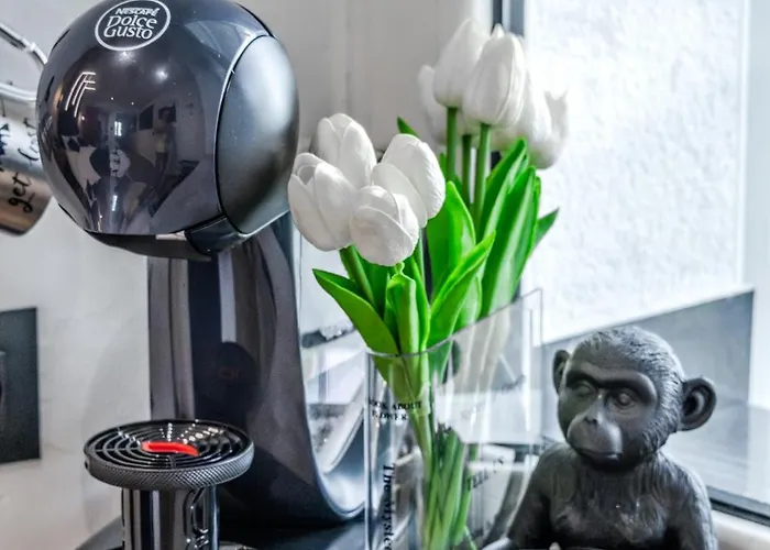 Urban Oasis Apartamento Rijeka