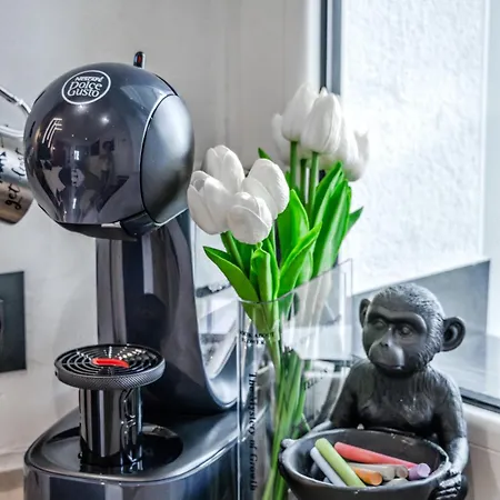 Urban Oasis Apartman Rijeka